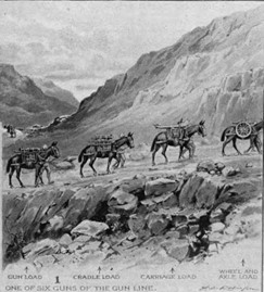 A realistic artists view of the terrain at Chillianwala battlefield