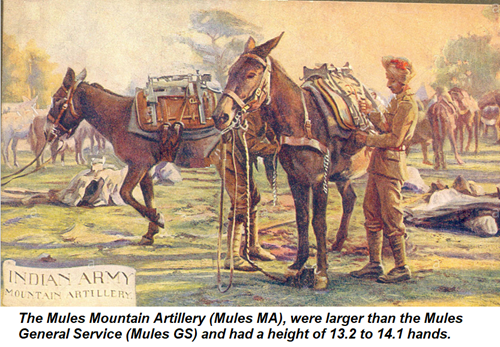 A realistic artists view of the terrain at Chillianwala battlefield