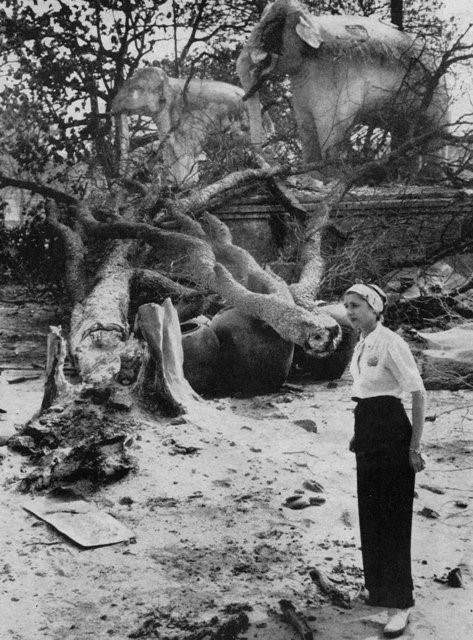 A realistic artists view of the terrain at Chillianwala battlefield